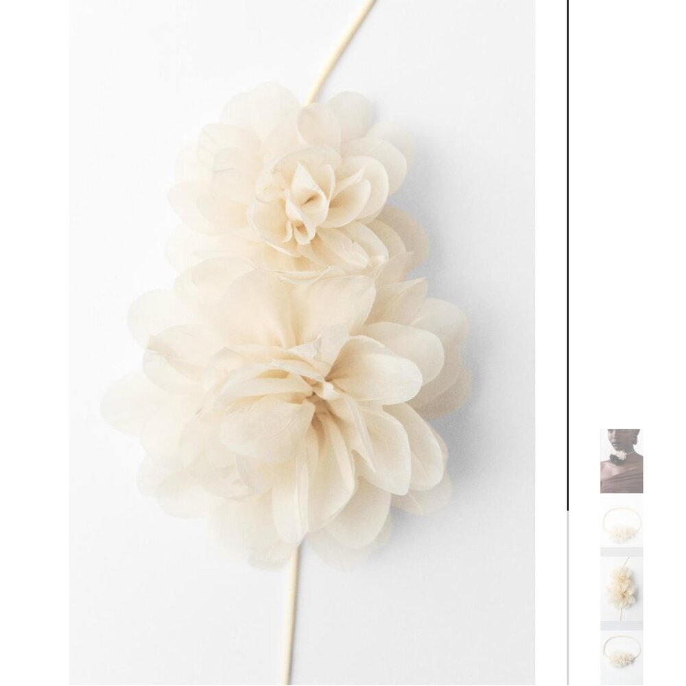NWT ZARA CORDED COLLAR FLOWERS ECRU - Picture 2 of 4